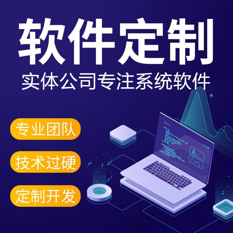 定制软件为企业插上腾飞之翼