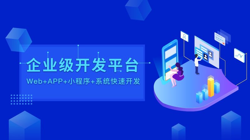 企业软件开发选购指南